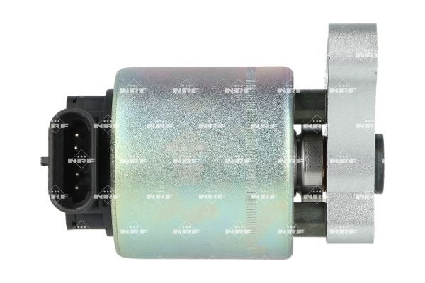 Vanne EGR NRF 48394