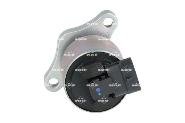 Vanne EGR NRF 48394